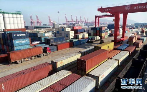 組團出海搶訂單，穩(wěn)外貿(mào)注入新動能