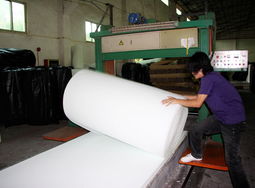 廣州美星海綿制品廠 創(chuàng)新育苗盤助力農(nóng)業(yè)綠色革命